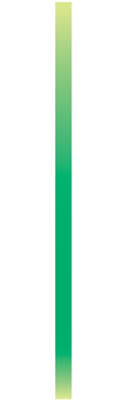 43305.png