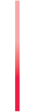 43313.png